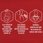 Old Spice Duş Jeli Whıtewater 3'ü 1 Arada 400 ml 4 Adet - 4