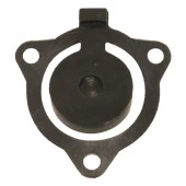 Palmera QGZ25-30A Benzinli 2 Zamanlı Su Motoru Klepe - 1