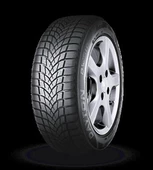 225/45R17 91HDW510E M+S / SFM - 1