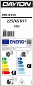 225/45R17 91HDW510E M+S / SFM - 2