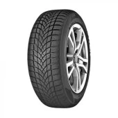 205/55R16 91H WINTER - 1