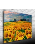 Ayçiçek Tarlası Canvas Tablo (50x70) thumbnail 1