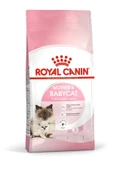 Royal Canin Mother&BabyCat 2 Kg Yavru Kuru Kedi Maması - 1
