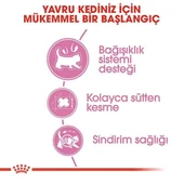Royal Canin Mother&BabyCat 2 Kg Yavru Kuru Kedi Maması - 3