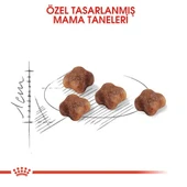Royal Canin Mother&BabyCat 2 Kg Yavru Kuru Kedi Maması - 5