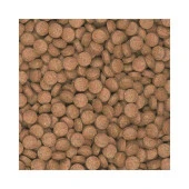 Tropical Supervit Tablet B 20 gr (Açık) 100 Tablet Kilitli Poşette Gönderilir  Skt: 01/2027 thumbnail 2