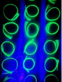 eagenset Çapari Simi Fosforlu Karanlıkta Parlayan, Sarı Glow Luminous in Dark Ultraviyole (UV) Neon 1 Adet Poşet - 8