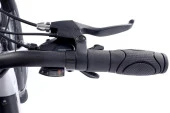 Alba Fold X Premium E-Bike 36V 12.8Ah Batarya, H.Disk Fren 1x8 Vites 20 Jant Renk:Antrasit-gri - 4