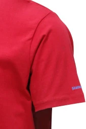 Erkek Bisiklet Yaka Standart Fit Göğüs Baskılı Bordo T-Shirt thumbnail 3