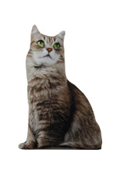 Nishev 3D Dijital Baskılı Dekoratif Kedi Yastık SİBİRYA - 2