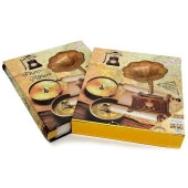 Rabsev RS21 Fotoğraf Albümü 10x15cm 600 lük Gramafon Desenli Kutulu - 2