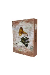 Rabsev RS4602-1 Fotoğraf Albümü 10x15cm 200 Fotoğraf Kapasiteli Gramofon Desenli Anı Albümü - 4