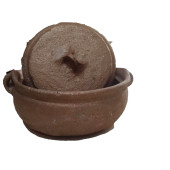 BÜYÜK KARA GÜVEÇ (ÇÖMLEK) - 1