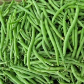 Oturak Kılçıksız Fasulye Tohumu (25 gram) - 1