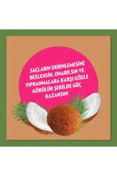 ELİDOR Doğanın Enerjisi Şampuan Hindistan Cevizi Yağı 400 Ml X3 - 2