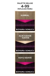 PALETTE Deluxe 4-99 Ametist Moru - 6