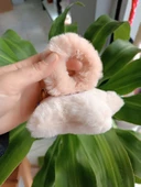 Dev Yıldız Peluş Bağlama Tokası - 4