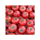 Bursa Tohum Domates Ancon 25Gr 3 Paket - 1