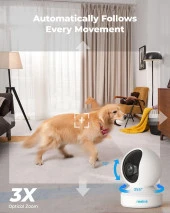 Reolink İç Mekan Güvenlik Kamerası, 5MP Süper HD Takılabilir WiFi Kamera - 3