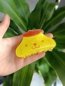 Sanrio Hello Kitty Kemik Mandal Toka - 5