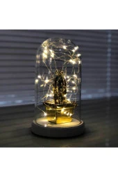 BY-LAMP Işıklı Fanus Gold Kare Kaktüs Figürlü Lamba Yeni Yıl Hediyesi Gece Lambası thumbnail 1