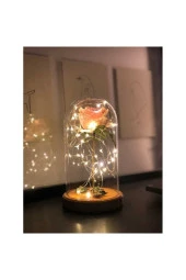 BY-LAMP Pembe Gül Işıklı Cam Fanus Lamba Sevgiliye Hediye Gece Lambası - 1