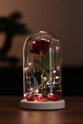 BY-LAMP Sevgililere Özel Romantik Hediye Kırmızı Gül Işıklı Cam Fanus Lamba thumbnail 1