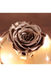 BY-LAMP Işıklı Cam Fanus Gold Solmayan Gül Lamba thumbnail 4