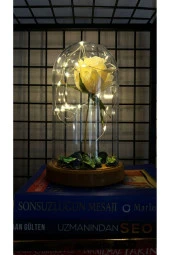 BY-LAMP Beyaz Gül Işıklı Cam Fanus Lamba Romantik Sevgililere Özel Hediye thumbnail 3