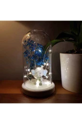 BY-LAMP Işıklı Fanus Çocuk Odası Mavi Kulak Fil Figürlü Gece Lambası Hediyesi Beyaz Taban thumbnail 2