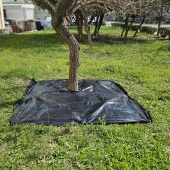 5X5 METRE AĞAÇ KORUMA ÖRTÜSÜ VE SABİTLEME ÇİVİSİ YER ÖRTÜSÜ YABANİ OT ENGELLEME PASPASI AĞAÇ DİBİ BEZİ SULZER KUMAŞ thumbnail 3