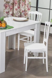 Almina Vals Beyaz Sandalye Bahçe Balkon Teras Sandalyesi 2 Adet Sandalye Takımı - 4