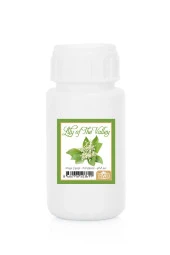 Müğe Çiçeği Kokusu Çubuklu Koku Bambu Kokusu Yedek Dolum Şişesi 100Ml - 1