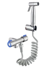 Valkyrie Paslanmaz Çelik Tuvalet Musluk Bide Seti Kolay Kurulum Kullanım Çift Çıkışlı Gümüş Evcil Hayvan Yıkama Aleti - 1