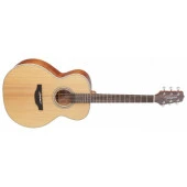 Takamine GN20-NS Akustik Gitar (KILIF+PENA) - 1