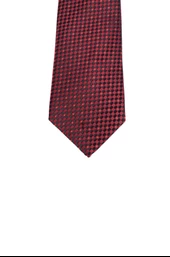 Cengiz İnler Pütü Kare Desenli Mendilli Mikrofiber Erkek Kravat - 1
