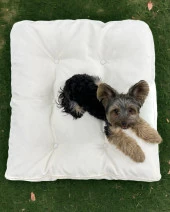 Softie White 010 Kedi Köpek Minderi Yatağı - 3