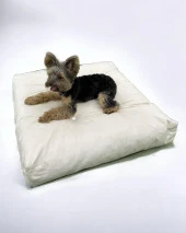 Whitey White 010 Kedi Köpek Minderi Yatağı - 2