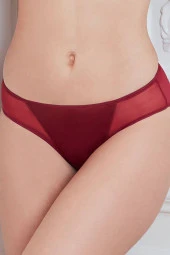 Kadın Mikro Kumaş Tüllü Slip - 1