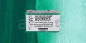 Schmincke Horadam Aquarell 1/1 Tablet 511 Chrom Oxide Green Brill seri 2 - 1