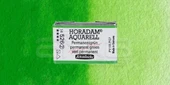 Schmincke Horadam Aquarell 1/1 Tablet 526 Permanent Green seri 2 - 1