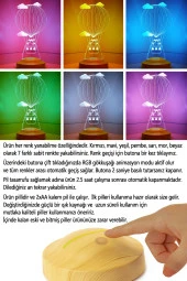 SEVGİ LAMBASI Çocuk Bebek Hediyesi, Kuzulu Balon 3 Boyutlu Hediye Led Lamba - 3