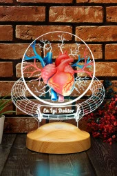 SEVGİ LAMBASI Doktor Hediyesi Kalp Ve Damar Tasarımlı Led Lamba, Tıp Bayramı Hediyesi Renkli Masa Lambası - 4