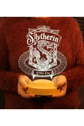 SEVGİ LAMBASI Harry Potter Hediyesi Hogwarts Slytherin Binası Led Lamba - 7