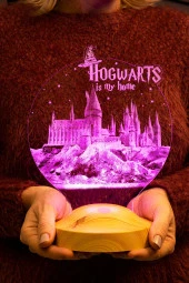 SEVGİ LAMBASI Harry Potter Hogwarts Hediyesi 3 Boyutlu Led Lamba - 6