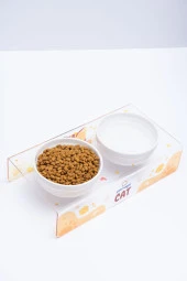 PetMagic Akrilik Pleksi Evcil Hayvan Renkli Seramik Kaseli Mama ve Su Kabı - Şeffaf Cat thumbnail 2