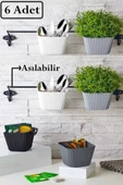 6 Adet Asılabilir Dekoratif Kaşıklık Baharatlık ve Çiçeklik Kaktüs Saksısı thumbnail 1