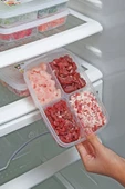 8 Adet 2 Boy Porsiyon Bölmeli Saklama Kabı Seti - 4 4 Buzluk Et Kıyma Kurban Seti thumbnail 5