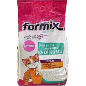 formix - 1