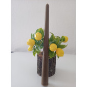 qosrix Kahverengi Şamdan Mumu 1. Kalite Doğal Kokulu Uzun Çubuk Konik Mum 1 Adet thumbnail 1